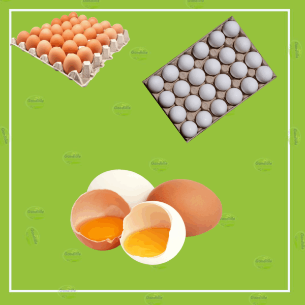Tablette Oeufs