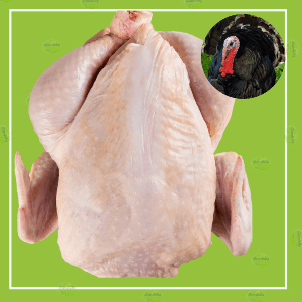 Dinde entière 1KG