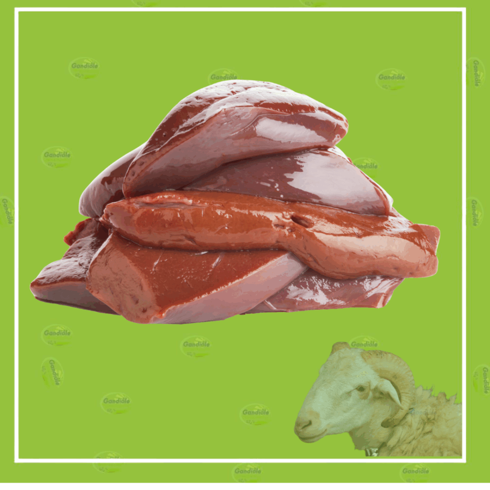 Foie de mouton