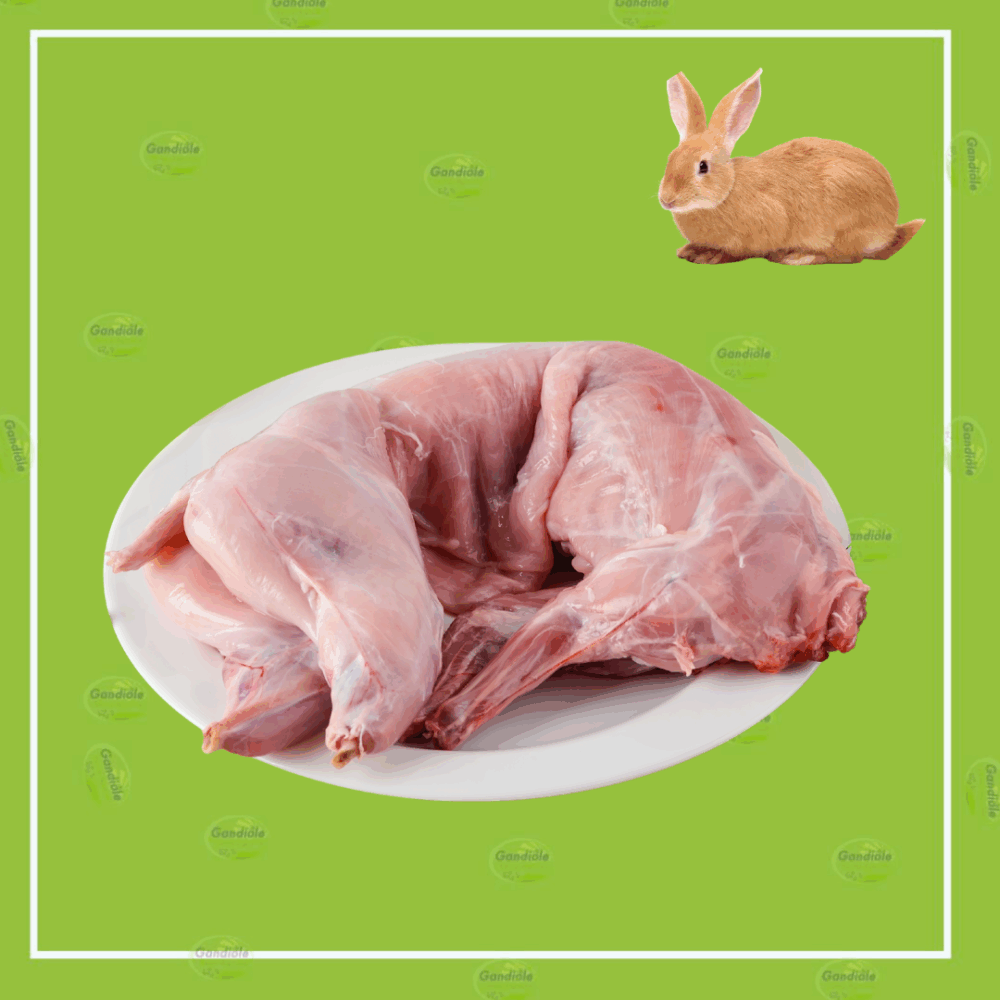 Lapin entier