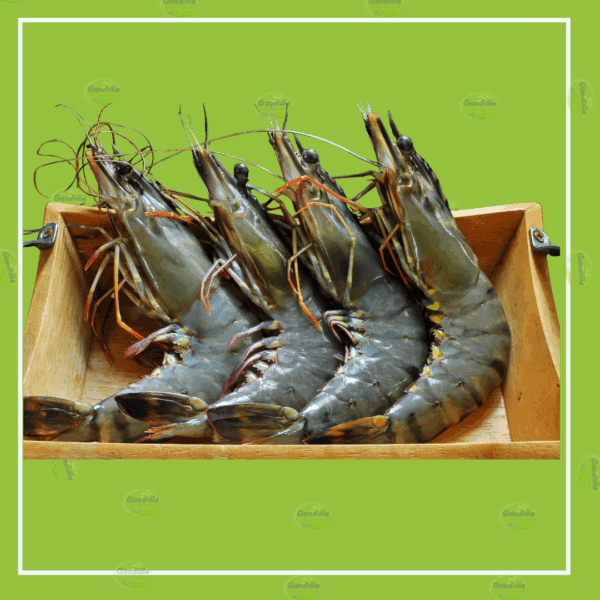 Gambas 500gr