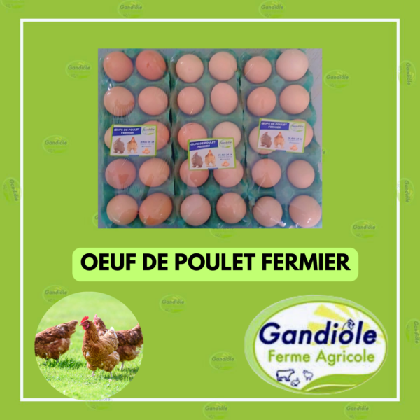 oeuf de poulet fermier