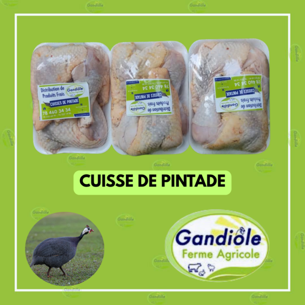 Cuisse de  Pintade
